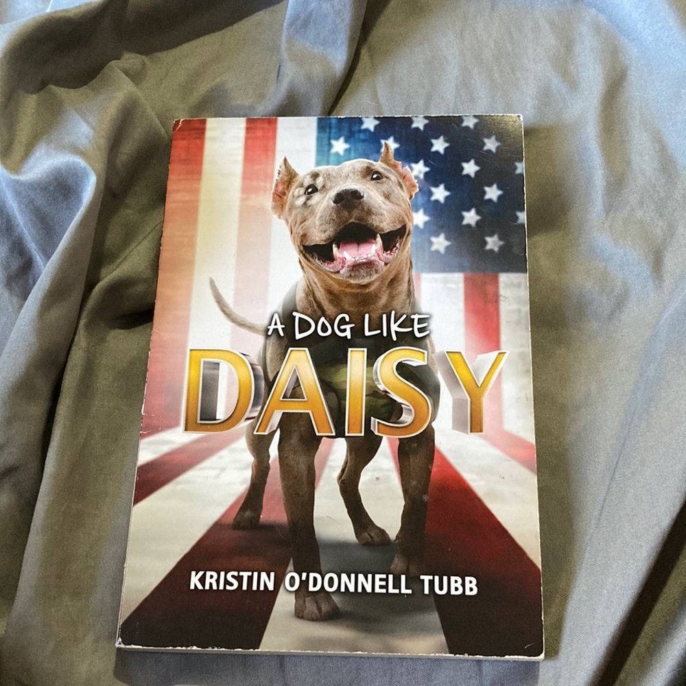 A Dog Like Daisy!